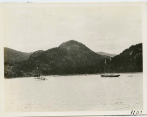 Image of Bowdoin and supply ship RADIO anchored in front of station site